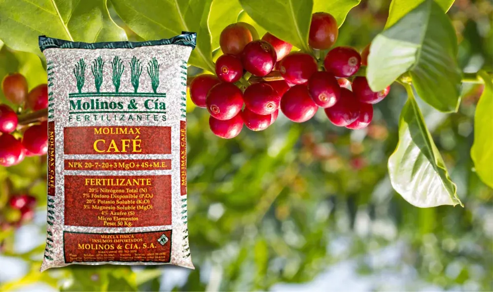 Importancia de la Fertilización Balanceada en el Cultivo de Café para Altos Rendimientos