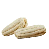 Maiz